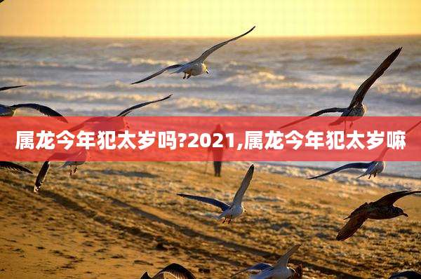 属龙今年犯太岁吗?2021,属龙今年犯太岁嘛