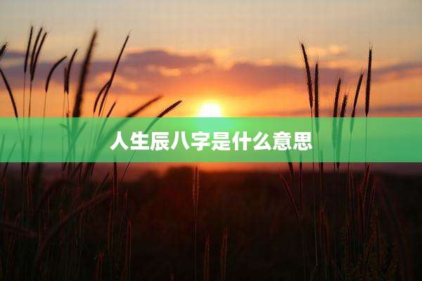 人生辰八字是什么意思