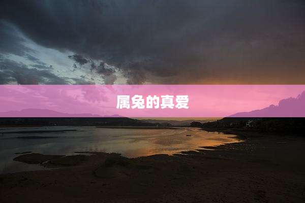 属兔的真爱