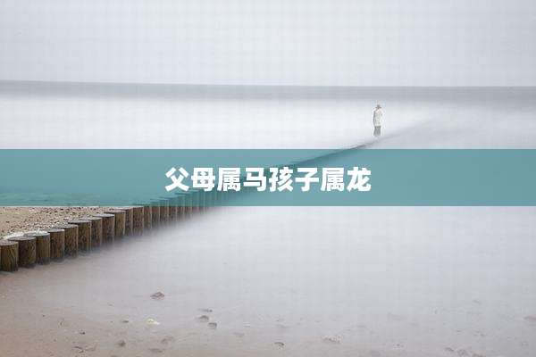父母属马孩子属龙