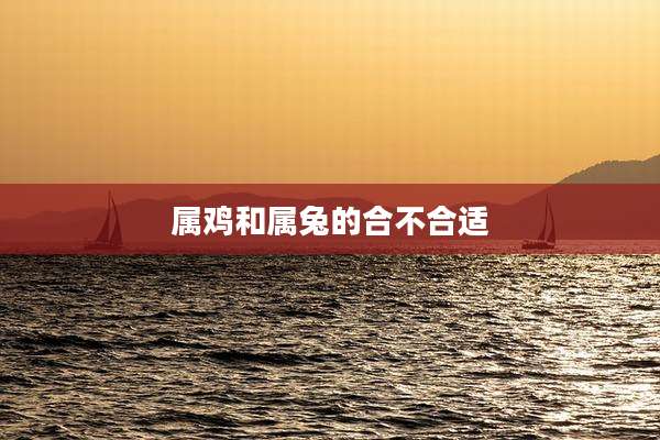 属鸡和属兔的合不合适