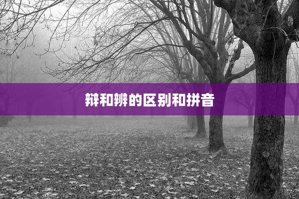 辩和辨的区别和拼音