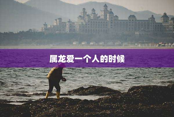 属龙爱一个人的时候