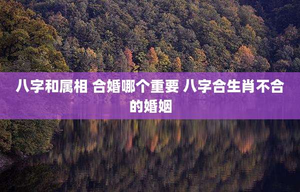 八字和属相 合婚哪个重要 八字合生肖不合的婚姻
