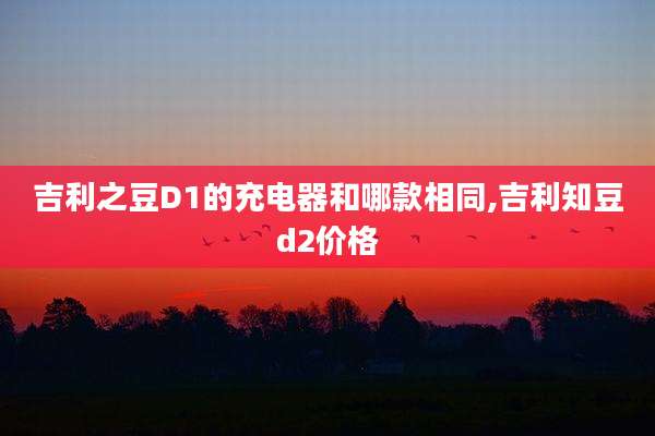 吉利之豆D1的充电器和哪款相同,吉利知豆d2价格
