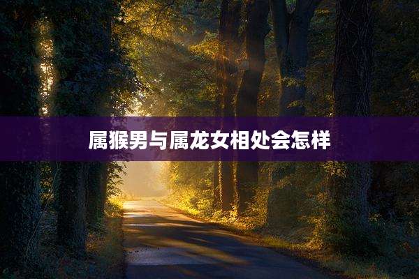 属猴男与属龙女相处会怎样