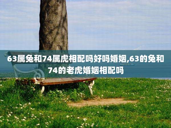 63属兔和74属虎相配吗好吗婚姻,63的兔和74的老虎婚姻相配吗