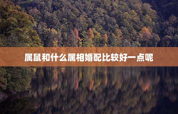 属鼠和什么属相婚配比较好一点呢
