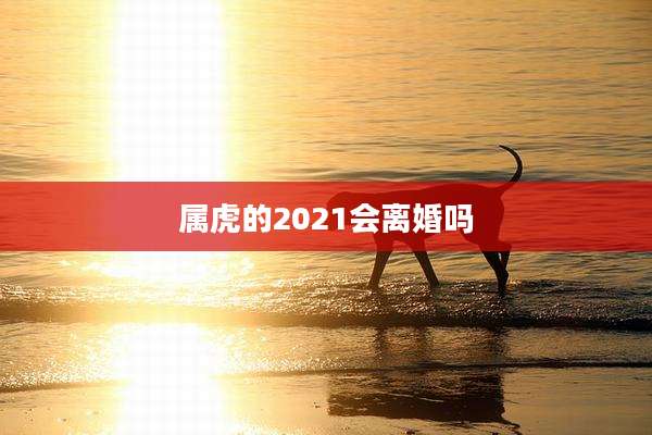 属虎的2021会离婚吗