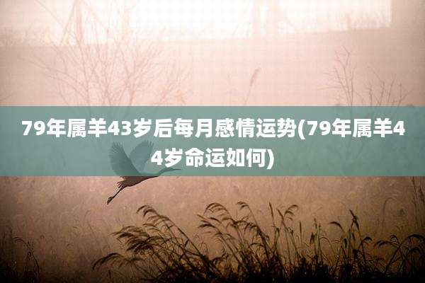 79年属羊43岁后每月感情运势(79年属羊44岁命运如何)