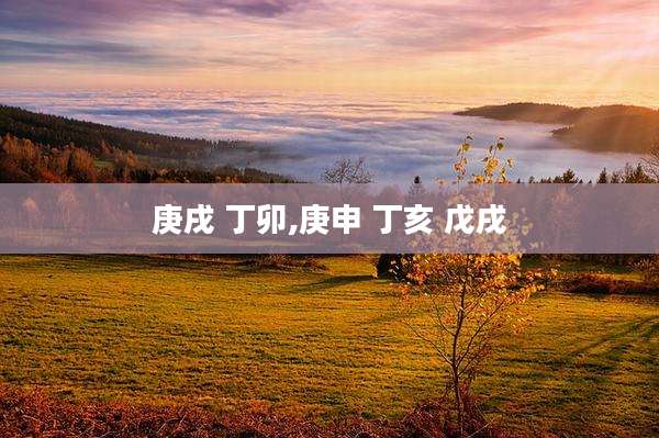 庚戌 丁卯,庚申 丁亥 戊戌
