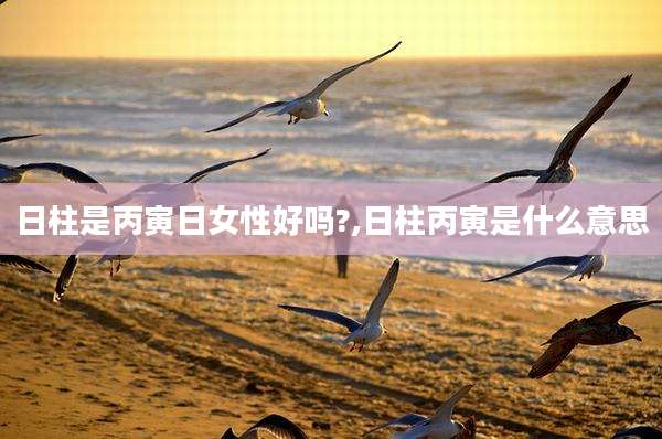 日柱是丙寅日女性好吗?,日柱丙寅是什么意思