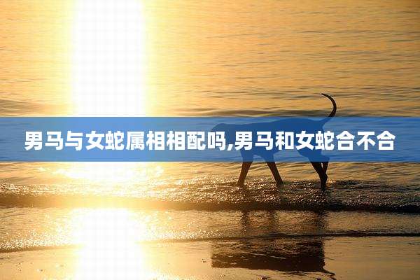男马与女蛇属相相配吗,男马和女蛇合不合
