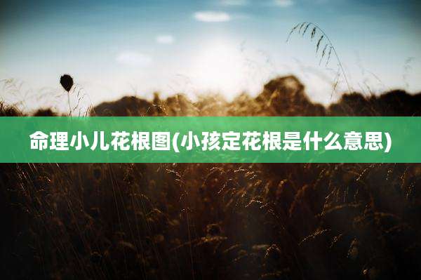 命理小儿花根图(小孩定花根是什么意思)