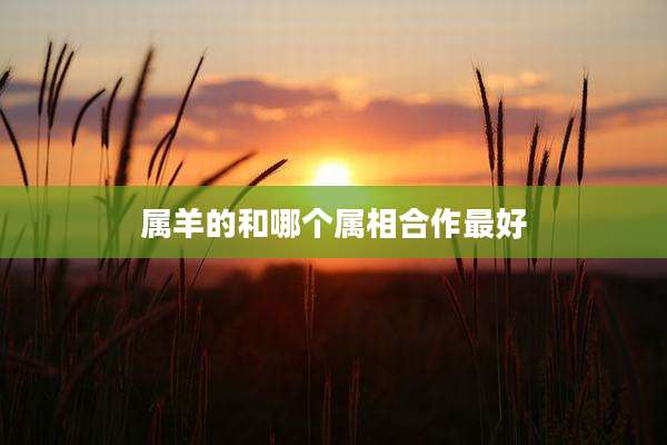 属羊的和哪个属相合作最好