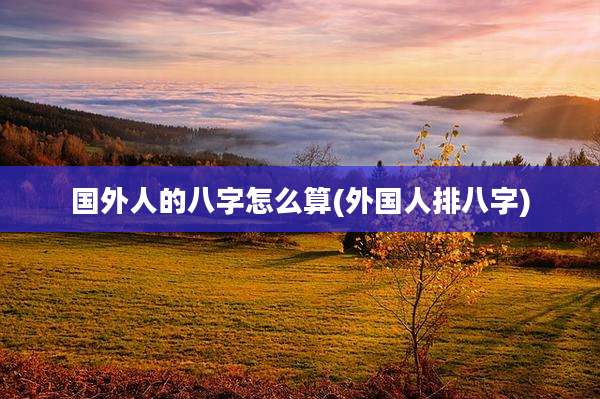 国外人的八字怎么算(外国人排八字)