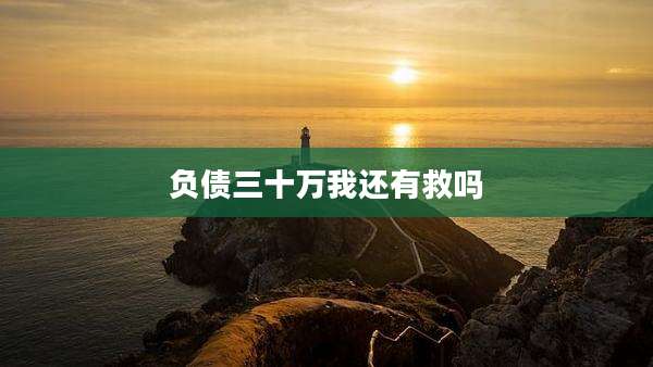 负债三十万我还有救吗
