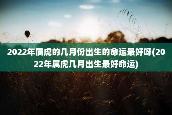 2022年属虎的几月份出生的命运最好呀(2022年属虎几月出生最好命运)