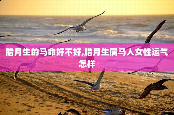 腊月生的马命好不好,腊月生属马人女性运气怎样