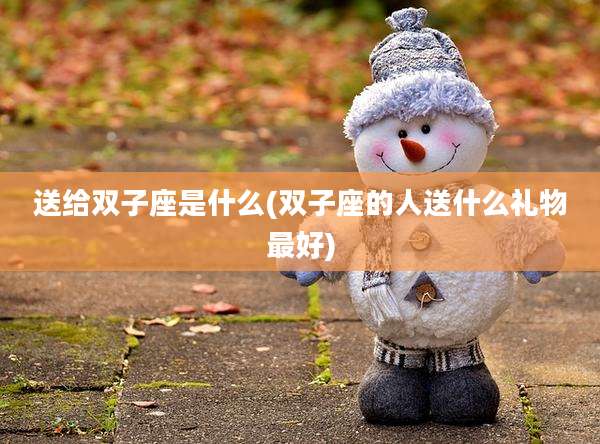 送给双子座是什么(双子座的人送什么礼物最好)