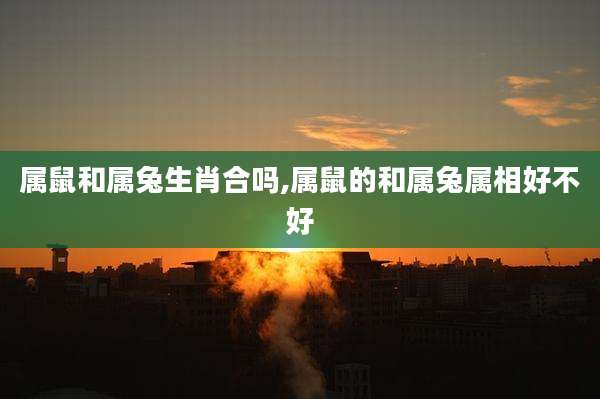 属鼠和属兔生肖合吗,属鼠的和属兔属相好不好
