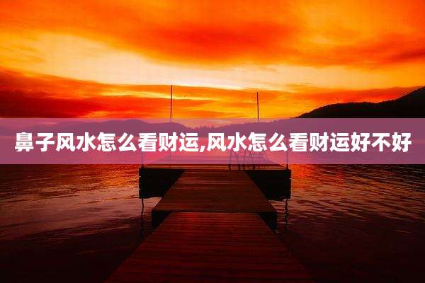 鼻子风水怎么看财运,风水怎么看财运好不好