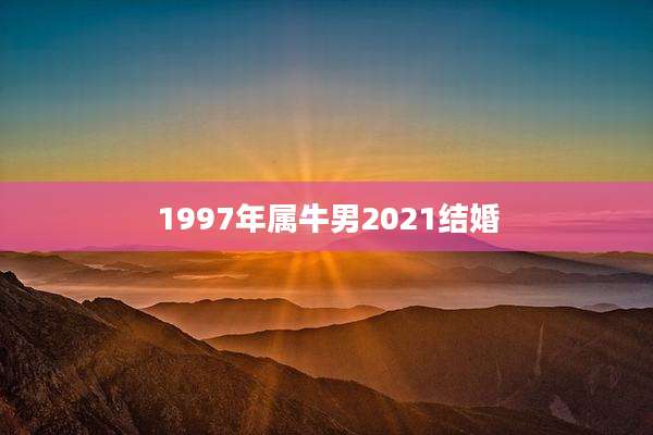 1997年属牛男2021结婚