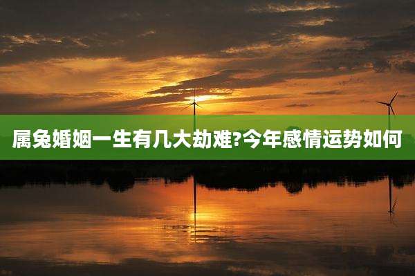属兔婚姻一生有几大劫难?今年感情运势如何