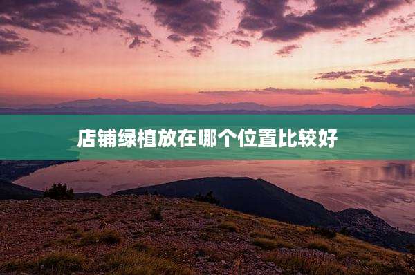 店铺绿植放在哪个位置比较好