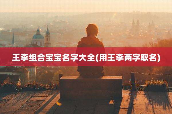 王李组合宝宝名字大全(用王李两字取名)