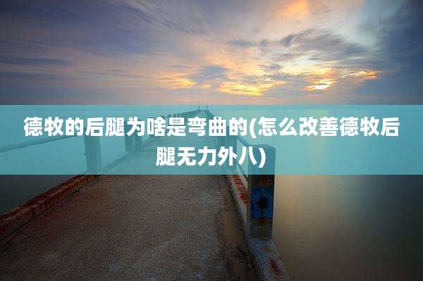 德牧的后腿为啥是弯曲的(怎么改善德牧后腿无力外八)