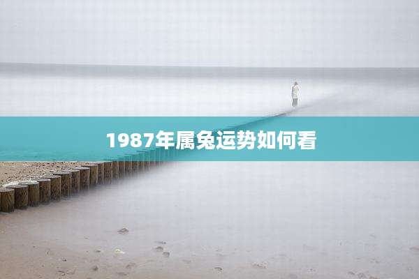 1987年属兔运势如何看