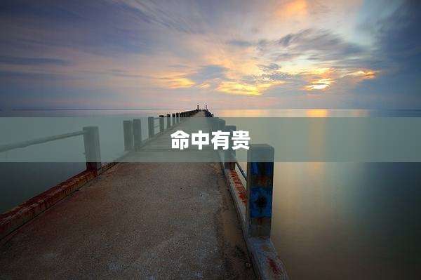 命中有贵