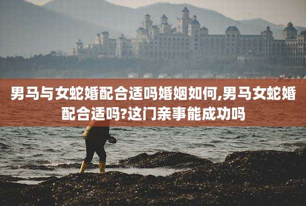 男马与女蛇婚配合适吗婚姻如何,男马女蛇婚配合适吗?这门亲事能成功吗