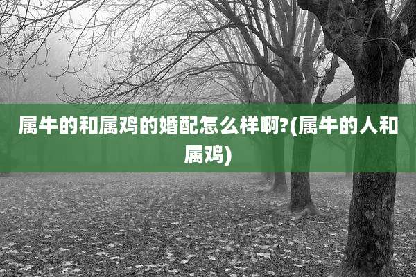 属牛的和属鸡的婚配怎么样啊?(属牛的人和属鸡)