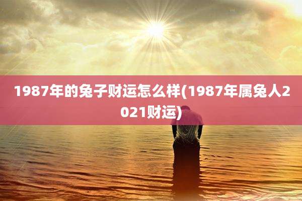 1987年的兔子财运怎么样(1987年属兔人2021财运)