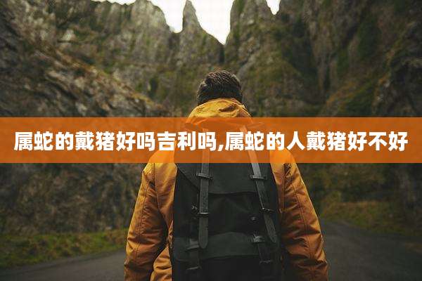 属蛇的戴猪好吗吉利吗,属蛇的人戴猪好不好