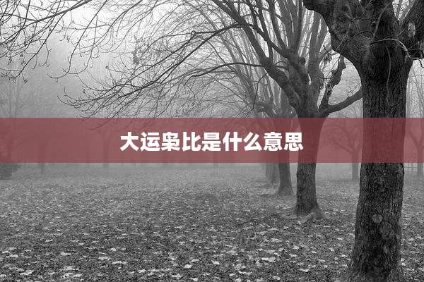 大运枭比是什么意思