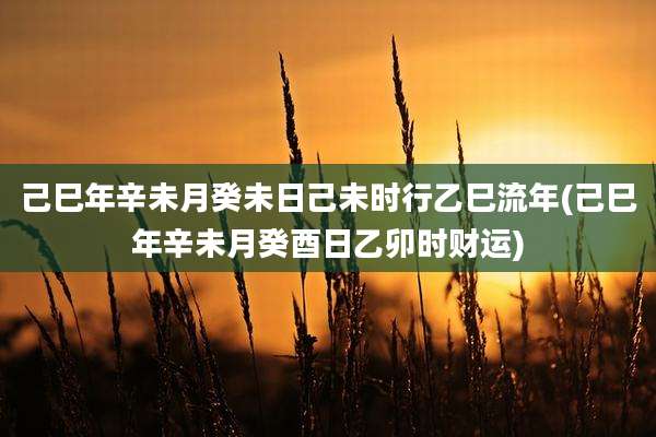 己巳年辛未月癸未日己未时行乙巳流年(己巳年辛未月癸酉日乙卯时财运)