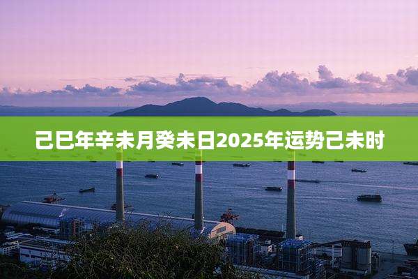 己巳年辛未月癸未日2025年运势己未时