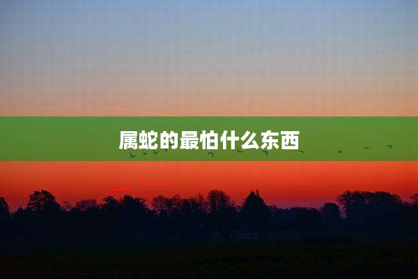 属蛇的最怕什么东西