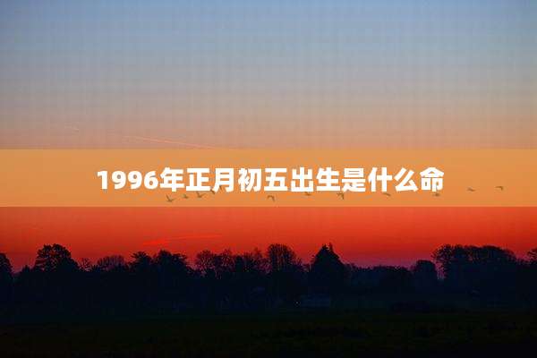 1996年正月初五出生是什么命