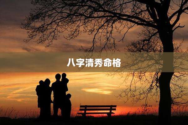 八字清秀命格