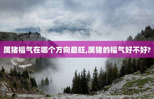 属猪福气在哪个方向最旺,属猪的福气好不好?