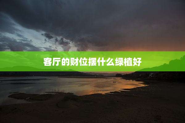 客厅的财位摆什么绿植好