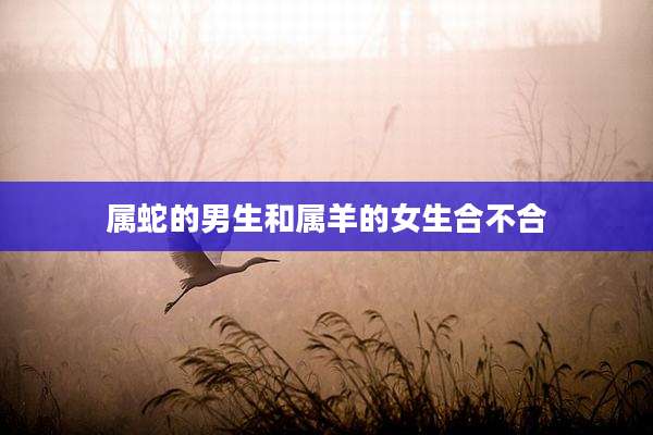 属蛇的男生和属羊的女生合不合