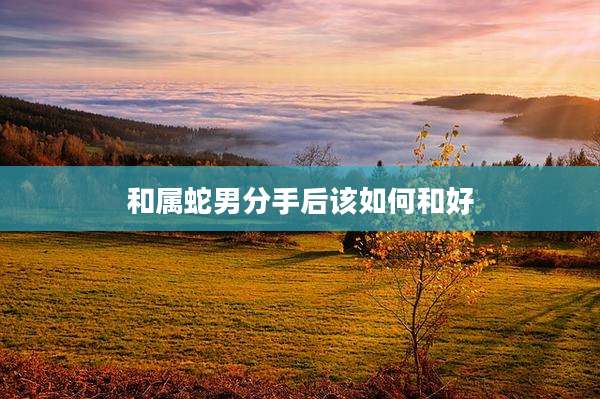 和属蛇男分手后该如何和好