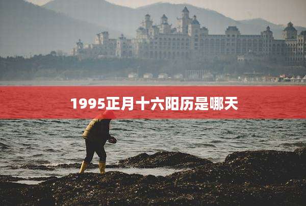 1995正月十六阳历是哪天