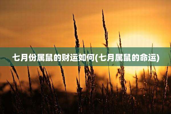 七月份属鼠的财运如何(七月属鼠的命运)