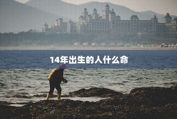 14年出生的人什么命